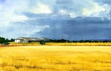 Harvest Storm