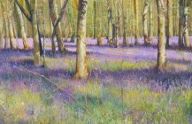 Bluebells at Christmas Common