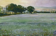 Linseed Field at Emmington